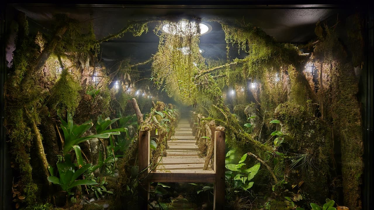 Enigma de la Semilla